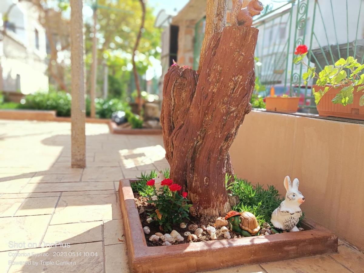 ホテル Moni 85 Family House ソゾポル エクステリア 写真